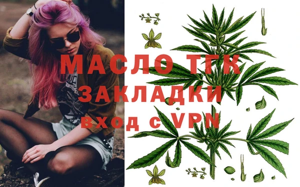 скорость Вяземский