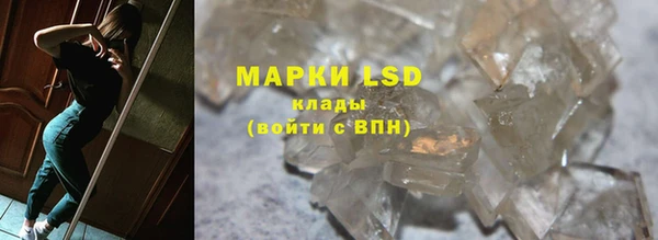 скорость Вяземский