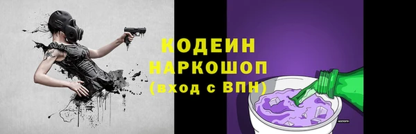скорость Вяземский