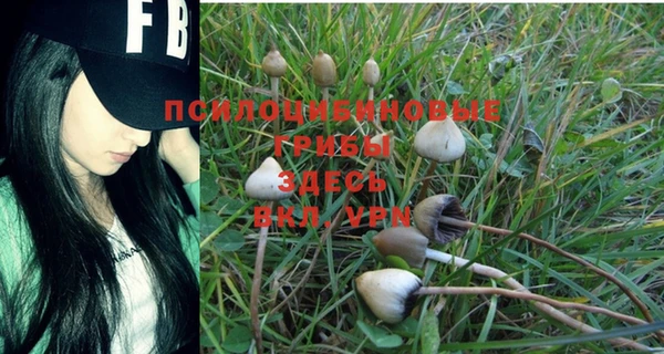 mdma Горнозаводск